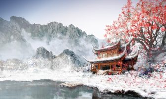 Cung Phu Thê – Luận giải, Xem Cung Phu Thê Vô Chính Diệu