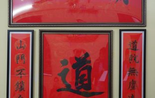 Hình ảnh chương trình luận giải đầu xuân năm Canh Tý ( Phần 01)-Tuvivietnam