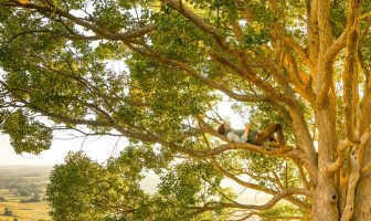 TỬ VI ĐẨU SỐ PHÚ GIẢI – Phần 9