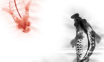 Cung Huynh Đệ – Luận giải Cung Huynh Đệ
