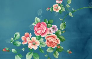 Tử Vi Đẩu Số Cách Cục Luận – Phần 2