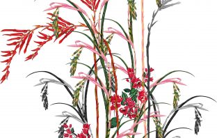 QUẺ HỎA THỦY VỊ TẾ