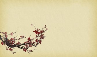 Hướng dẫn sử dụng web site tuvivietnam.vn