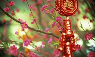 HÓA DIỆU LUẬN