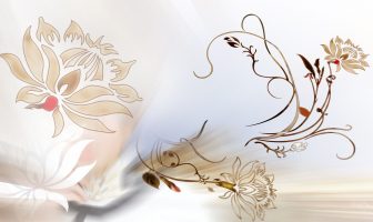 Hóa Kị