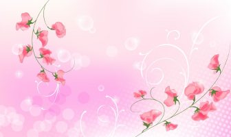 Trung Châu Tử vi sơ cấp giảng nghĩa luận cung Tài bạch