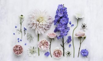 Tứ Hóa Phái: Phân tích trường hợp cung Thiên di có sao Hóa kỵ