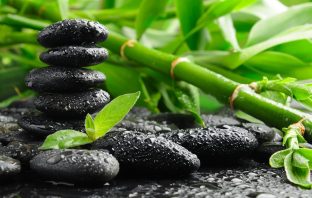 Hỏa tinh Linh tinh hợp luận – Đại toàn