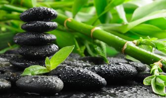 Hỏa tinh Linh tinh hợp luận – Đại toàn