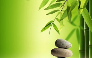 Đối đãi của mệnh cung và phu thê cung có 4 loại hiện tượng