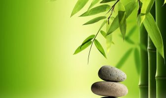 Đối đãi của mệnh cung và phu thê cung có 4 loại hiện tượng