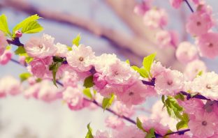 CÁCH LẬP QUẺ THEO THỜI GIAN