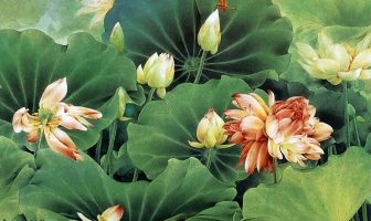 51. Kinh nghiệm tử vi của cụ Thiên Lương: Sao thiên mã tại mệnh, thân… (KHHB số 74d1)