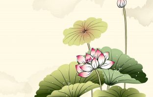 Tứ Hóa Phái: Phân tích trường hợp cung Quan lộc có sao Hóa kỵ