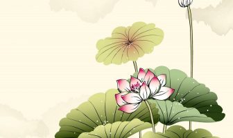 Tứ Hóa Phái: Phân tích trường hợp cung Quan lộc có sao Hóa kỵ