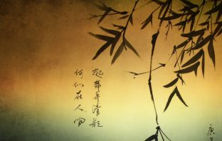 Chương 29 – Luận Câu nệ vào cách cục