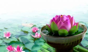 Tứ Hóa Phái: Phân tích trường hợp cung Điền trạch có sao Hóa khoa