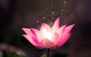 Can Giáp – Liêm Trinh Hóa Lộc