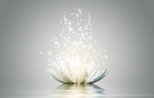 Tứ hóa sơ luận