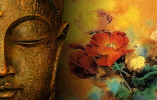 351.-Thiên không, một vì sao huyền bí-KHHB số 8