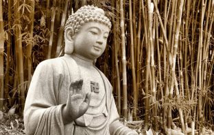 Tứ Hóa Phái: Phân tích trường hợp cung Tử tức có sao Hóa khoa