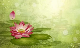 TỬ VI ĐẨU SỐ TOÀN THƯ HÁN VIỆT (toàn tập – quyển 2 phần 1)
