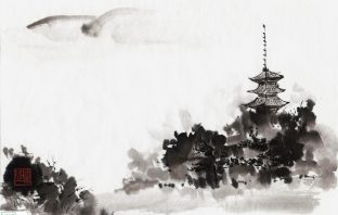 Thiên Đồng cư Sửu Mùi; Cự Môn đồng cung